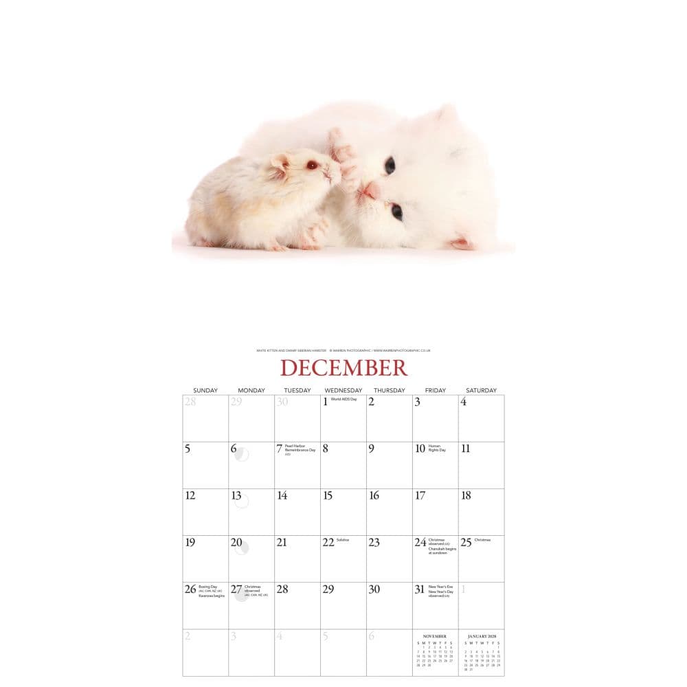 Kittens And Friends 2027 Wall Calendar by Gladstone Media Fourth Alternate Image