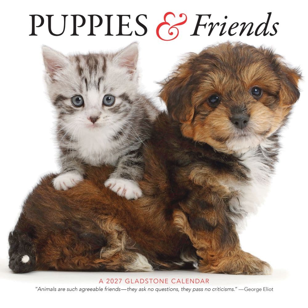 Puppies And Friends 2027 Wall Calendar by Gladstone Media Main Product Image