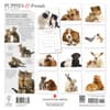image Puppies And Friends 2027 Wall Calendar by Gladstone Media First Alternate Image