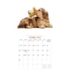 image Puppies And Friends 2027 Wall Calendar by Gladstone Media Second Alternate Image