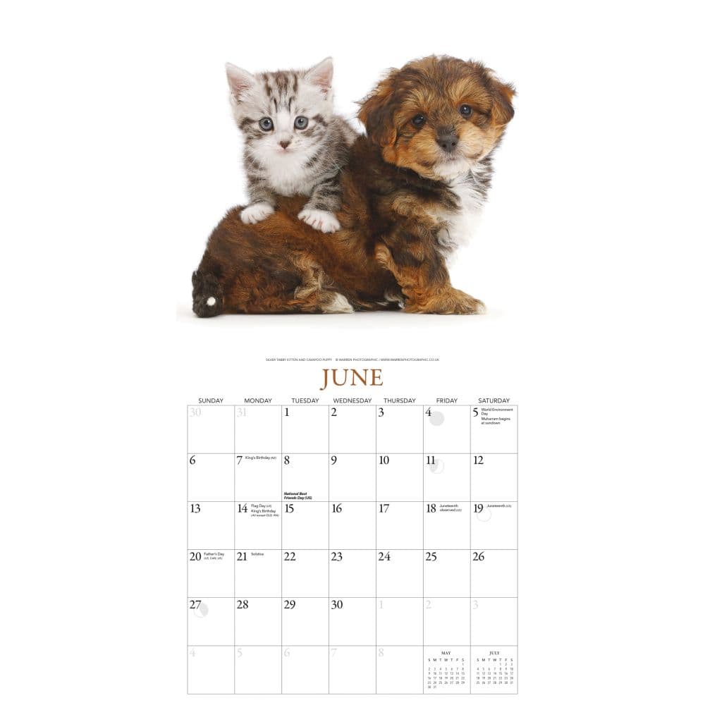 Puppies And Friends 2027 Wall Calendar by Gladstone Media Third Alternate Image