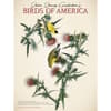 image Audubon Birds of America 2027 Wall Calendar by Gladstone Media Main Product Image