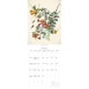 image Audubon Birds of America 2027 Wall Calendar by Gladstone Media Second Alternate Image