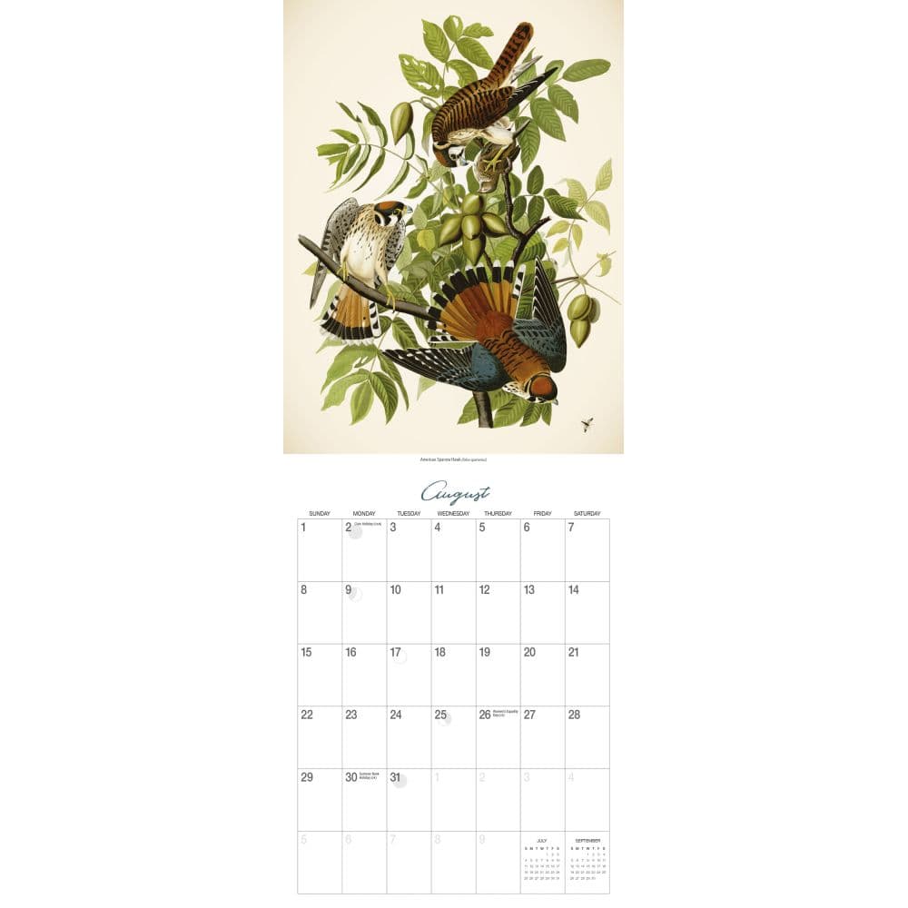 Audubon Birds of America 2027 Wall Calendar by Gladstone Media Third Alternate Image