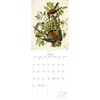 image Audubon Birds of America 2027 Wall Calendar by Gladstone Media Third Alternate Image