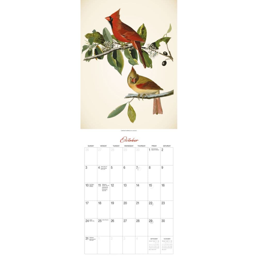 Audubon Birds of America 2027 Wall Calendar by Gladstone Media Fourth Alternate Image