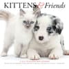 image Kittens and Friends 2027 Mini Wall Calendar by Gladstone Media Main Product Image