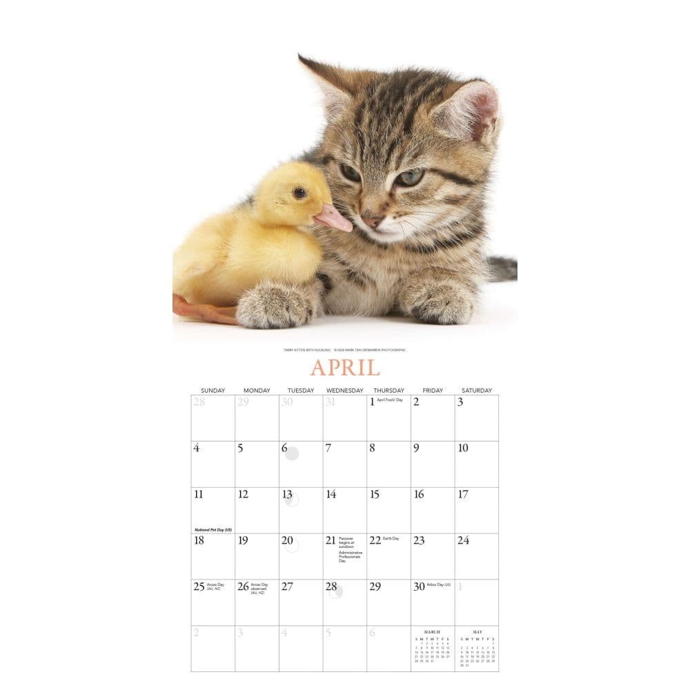 Kittens and Friends 2027 Mini Wall Calendar by Gladstone Media Second Alternate Image