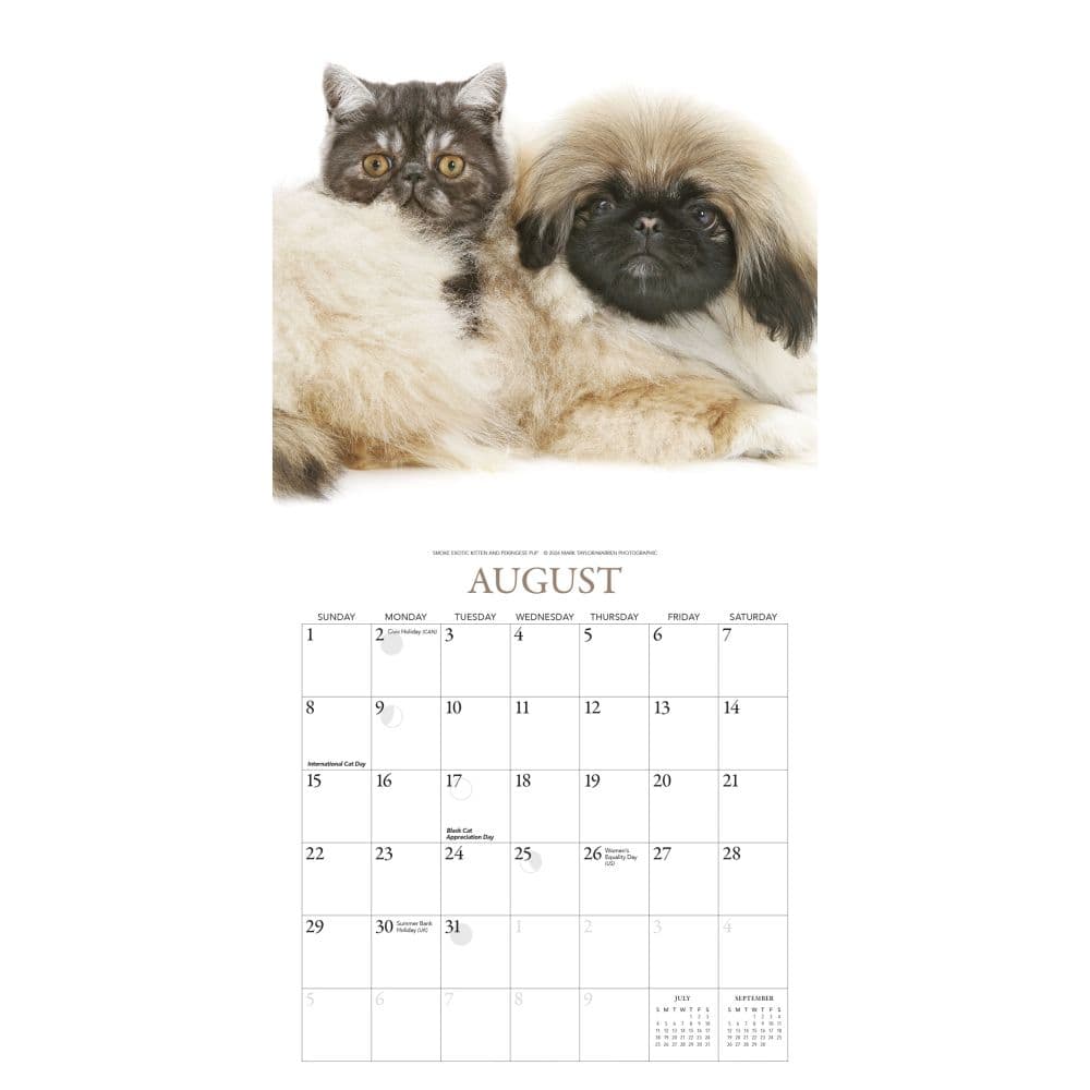 Kittens and Friends 2027 Mini Wall Calendar by Gladstone Media Third Alternate Image
