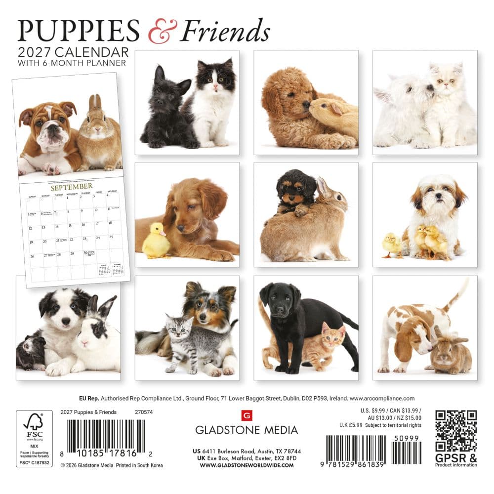 Puppies And Friends 2027 Mini Wall Calendar by Gladstone Media First Alternate Image