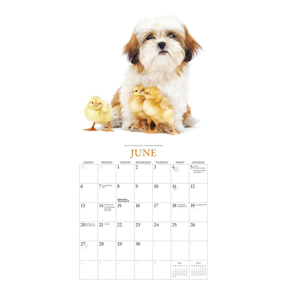 Puppies And Friends 2027 Mini Wall Calendar by Gladstone Media Third Alternate Image
