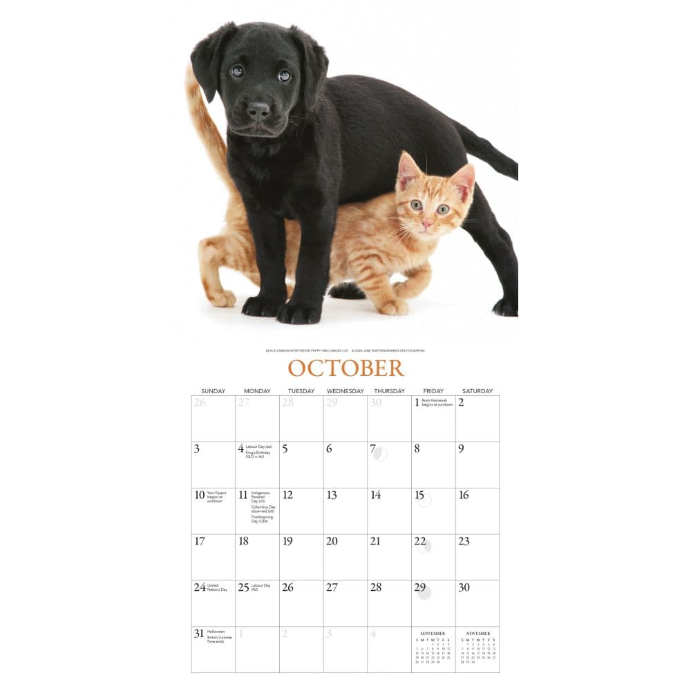 Puppies And Friends 2027 Mini Wall Calendar by Gladstone Media Fourth Alternate Image