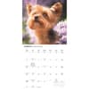 image Yorkies 2027 Wall Calendar Second Alternate Image