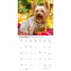 image Yorkies 2027 Wall Calendar Fourth Alternate Image