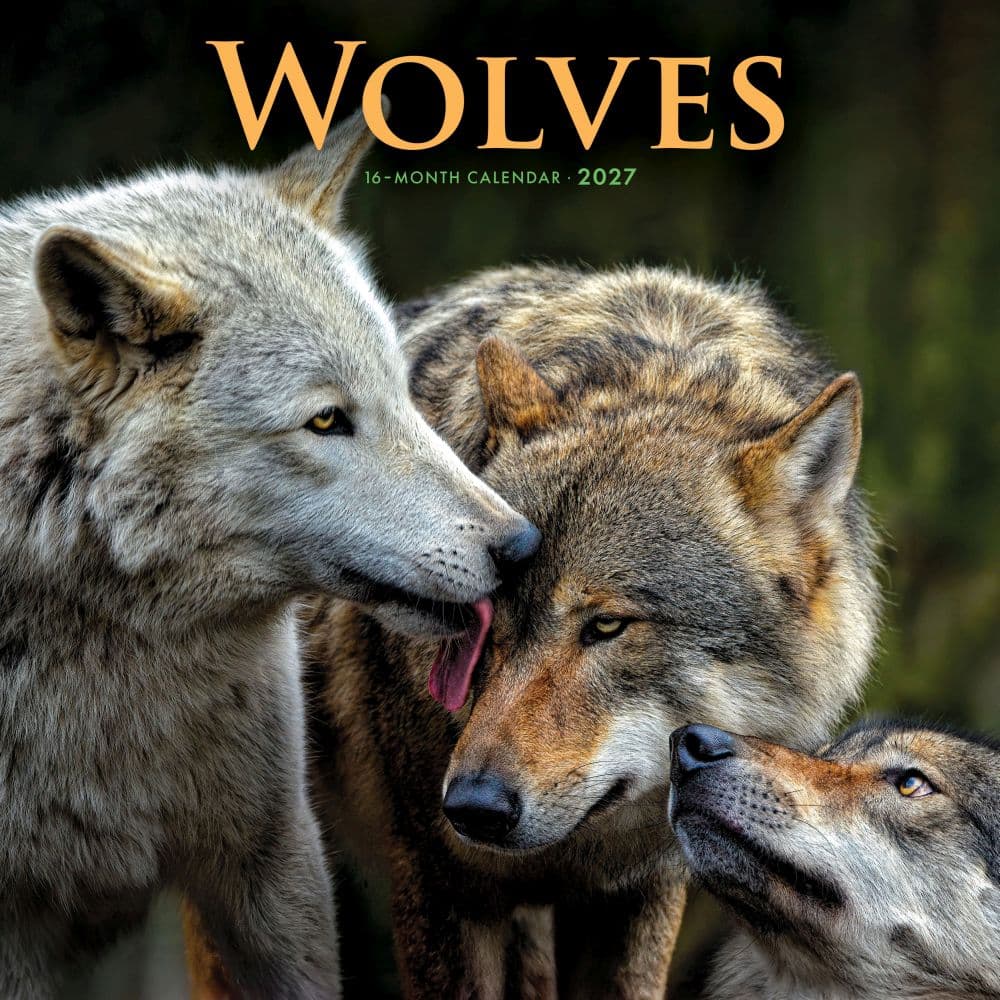 image Wolves 2027 Wall Calendar Main Product Image