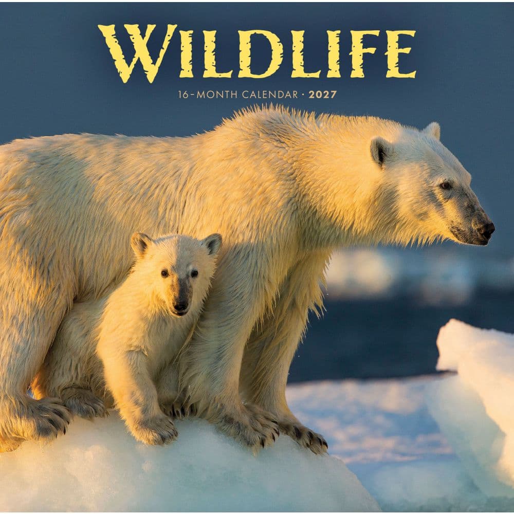 Wildlife 2027 Wall Calendar Main Product Image