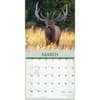 image Wildlife 2027 Wall Calendar Second Alternate Image