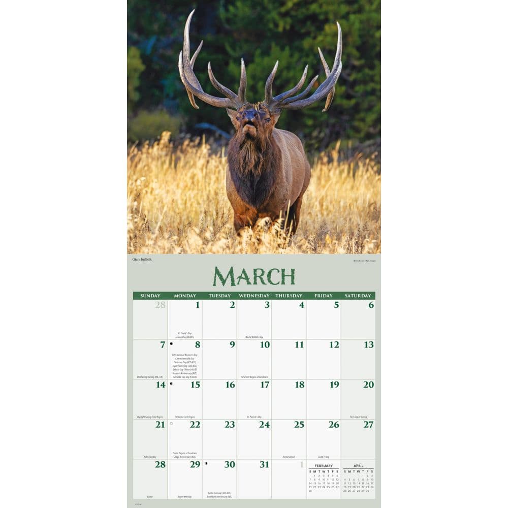 Wildlife 2027 Wall Calendar Second Alternate Image