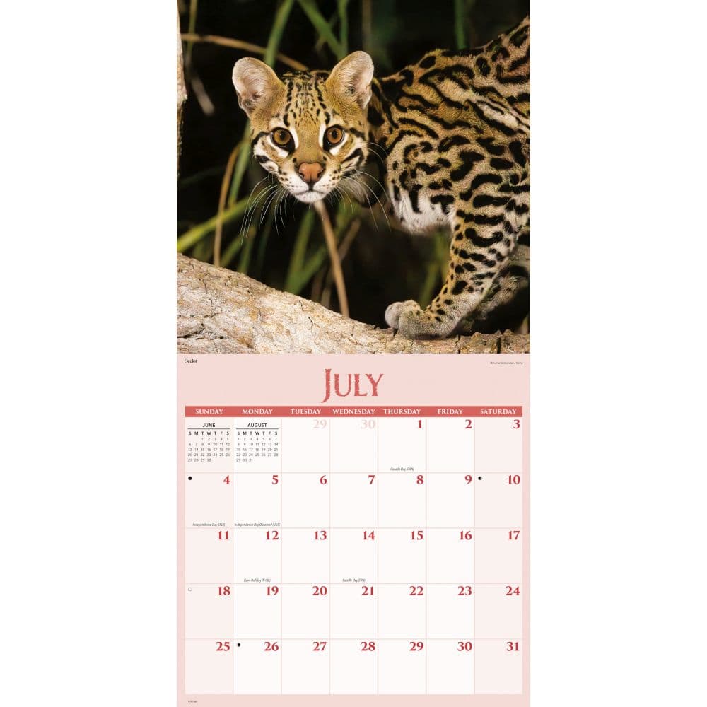 Wildlife 2027 Wall Calendar Third Alternate Image