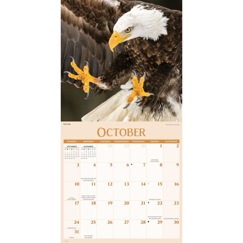 Wildlife 2027 Wall Calendar Fourth Alternate Image