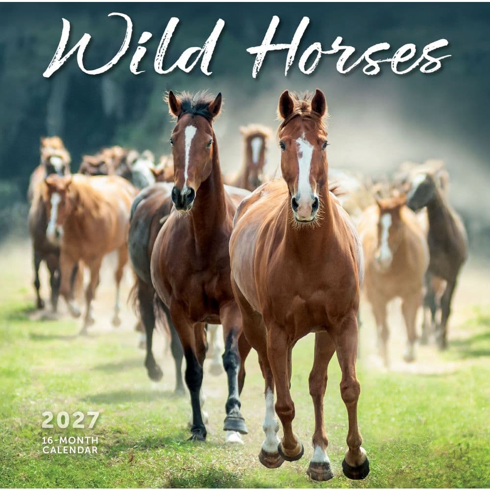 Wild Horses 2027 Wall Calendar Main Product Image