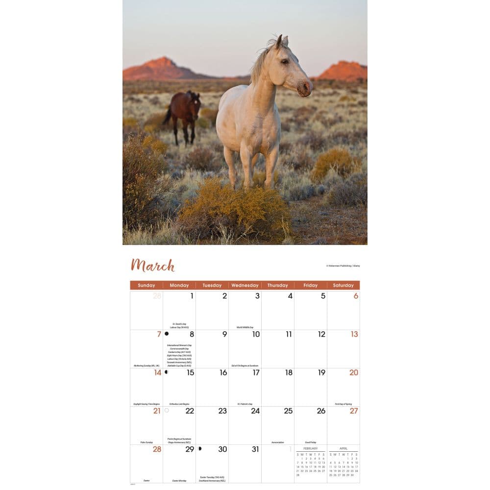 Wild Horses 2027 Wall Calendar Second Alternate Image