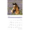 image Wild Horses 2027 Wall Calendar Third Alternate Image