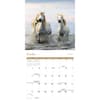 image Wild Horses 2027 Wall Calendar Fourth Alternate Image