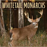 image Whitetail Monarchs 2027 Wall Calendar Main Product Image