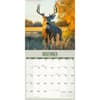 image Whitetail Monarchs 2027 Wall Calendar Fourth Alternate Image