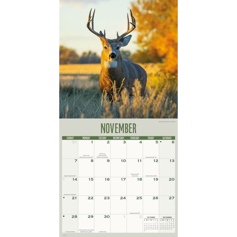 Whitetail Monarchs 2027 Wall Calendar Fourth Alternate Image