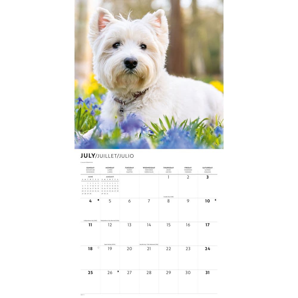 Westies 2027 Wall Calendar Second Alternate Image