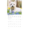 image Westies 2027 Wall Calendar Second Alternate Image