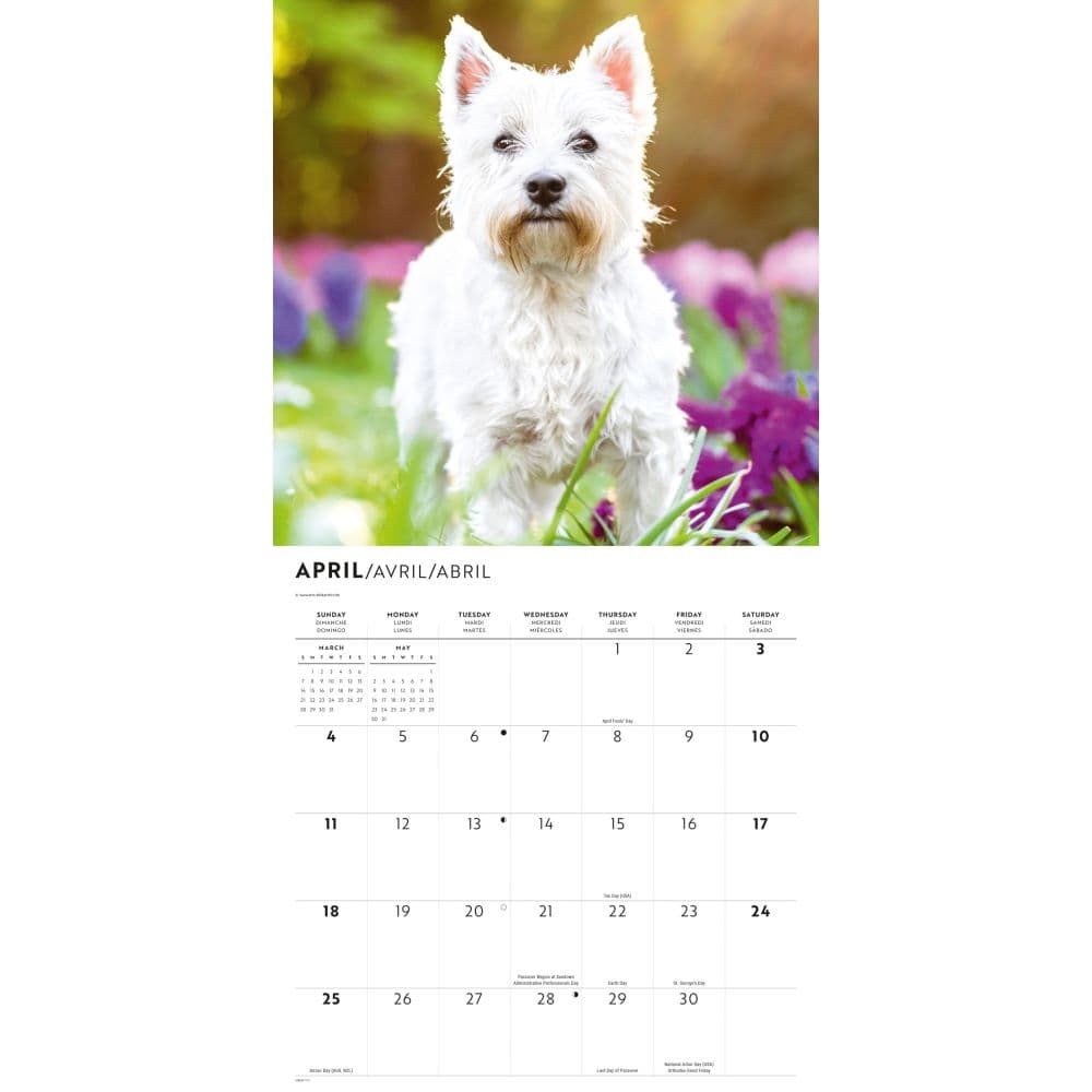 Westies 2027 Wall Calendar Third Alternate Image