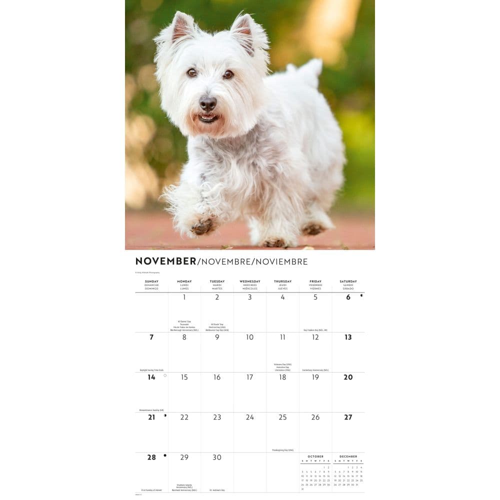 Westies 2027 Wall Calendar Fourth Alternate Image