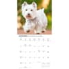 image Westies 2027 Wall Calendar Fourth Alternate Image