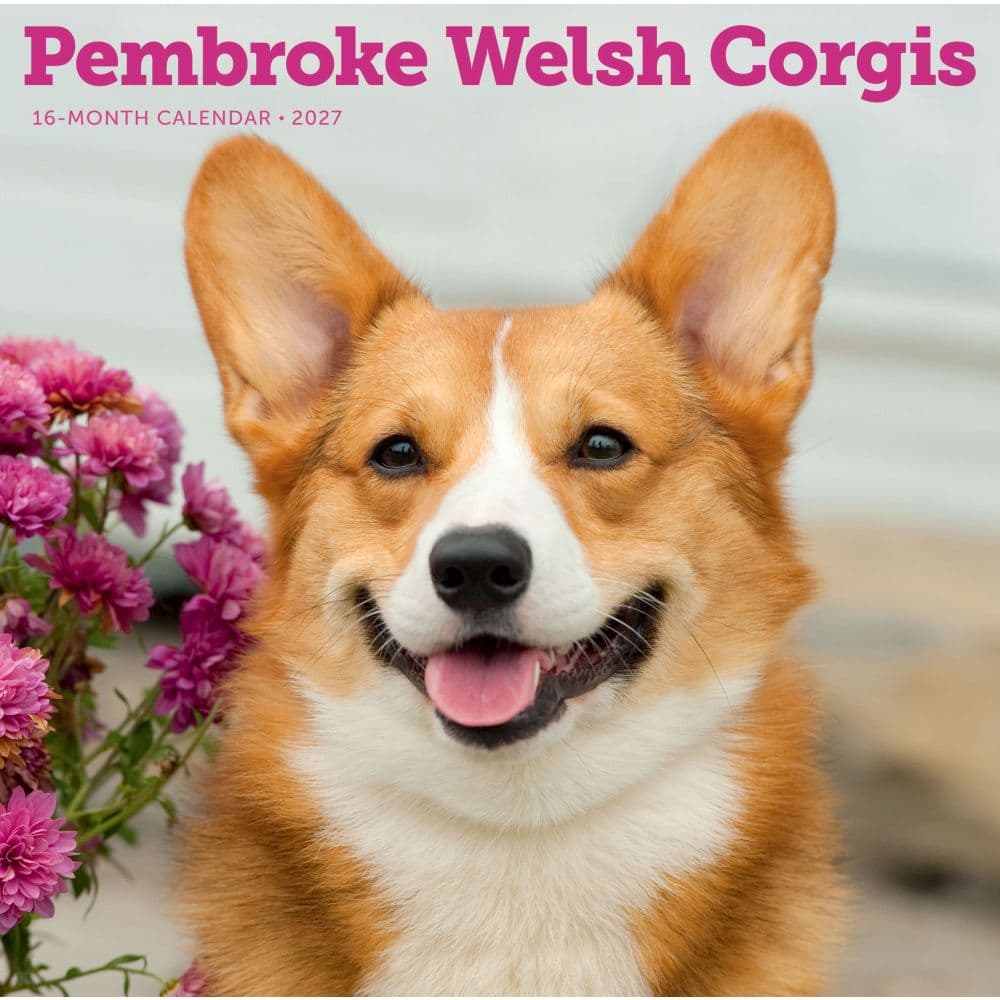 image Pembroke Welsh Corgis 2027 Wall Calendar Main Product Image