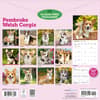 image Pembroke Welsh Corgis 2027 Wall Calendar First Alternate Image