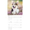 image Pembroke Welsh Corgis 2027 Wall Calendar Second Alternate Image