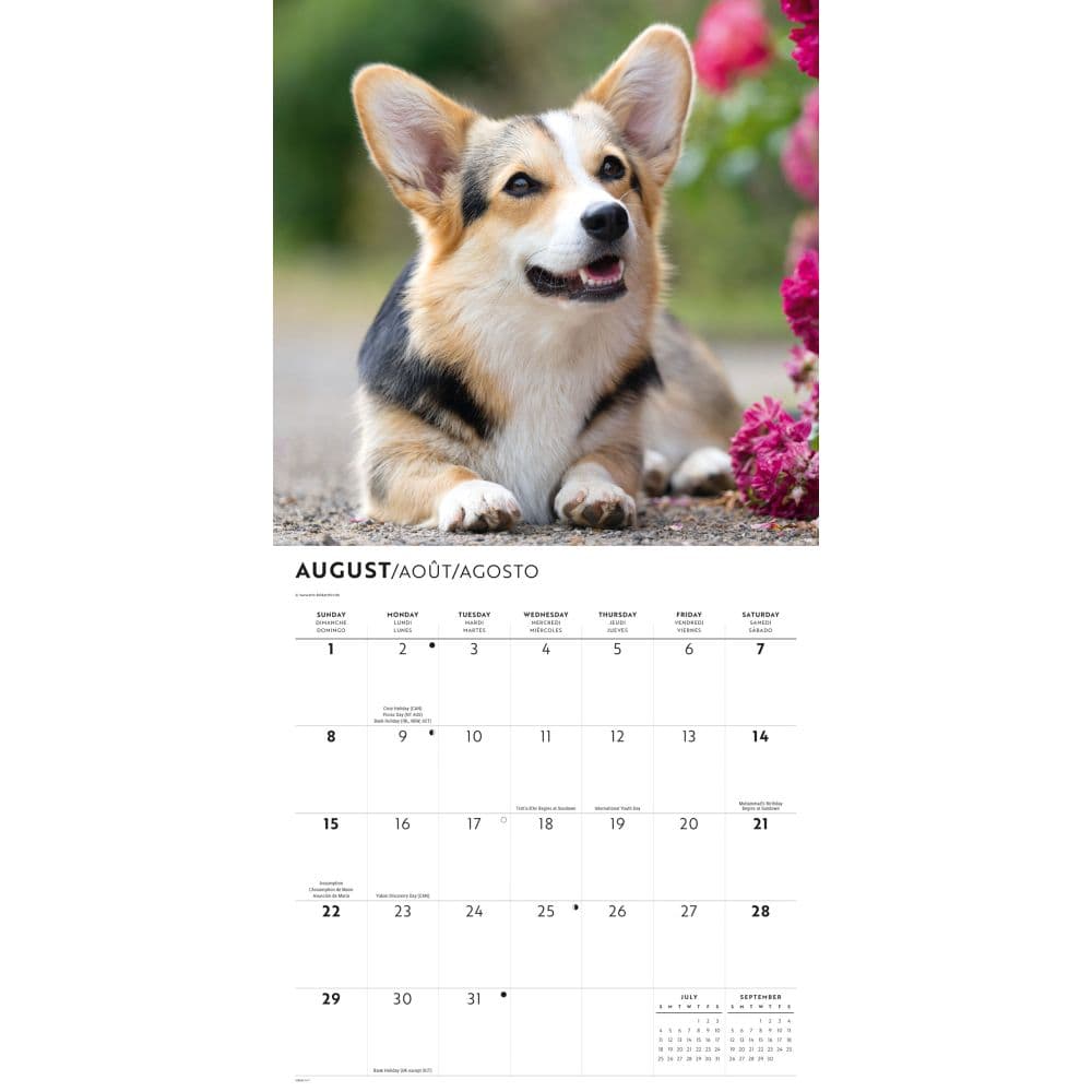 Pembroke Welsh Corgis 2027 Wall Calendar Third Alternate Image