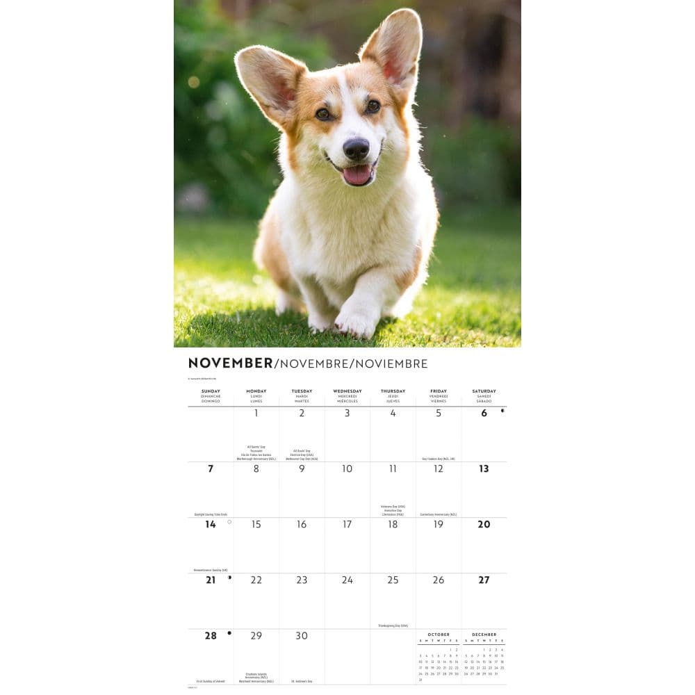 Pembroke Welsh Corgis 2027 Wall Calendar Fourth Alternate Image