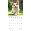 image Pembroke Welsh Corgis 2027 Wall Calendar Fourth Alternate Image