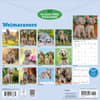image Weimaraners 2027 Wall Calendar First Alternate Image