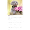 image Weimaraners 2027 Wall Calendar Second Alternate Image