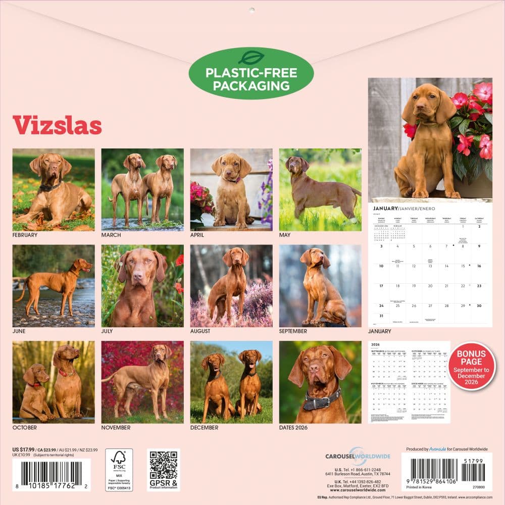 Vizslas 2027 Wall Calendar First Alternate Image