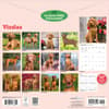 image Vizslas 2027 Wall Calendar First Alternate Image