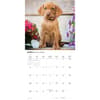 image Vizslas 2027 Wall Calendar Second Alternate Image
