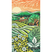 image Tuscan Delight 2027 2 Year Pocket Planner Main Product Image