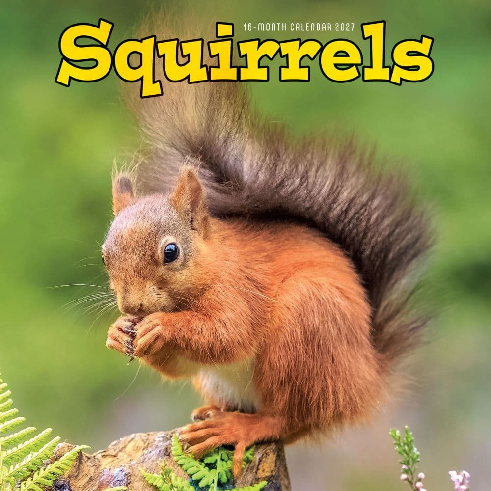 Squirrels 2027 Wall Calendar