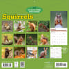 image Squirrels 2027 Wall Calendar First Alternate Image
